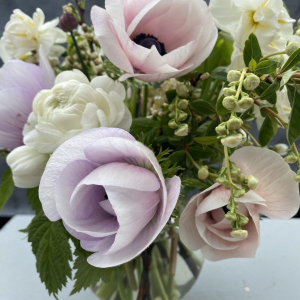 5 Week Late Spring Subscription