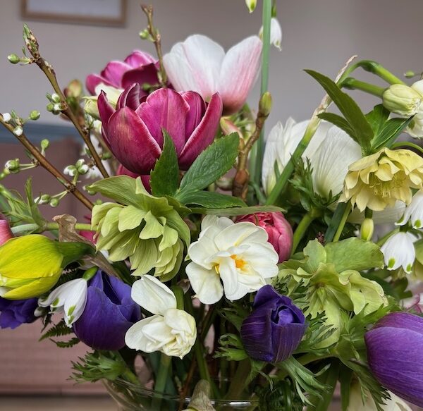 Mother's Day Pre-Orders
