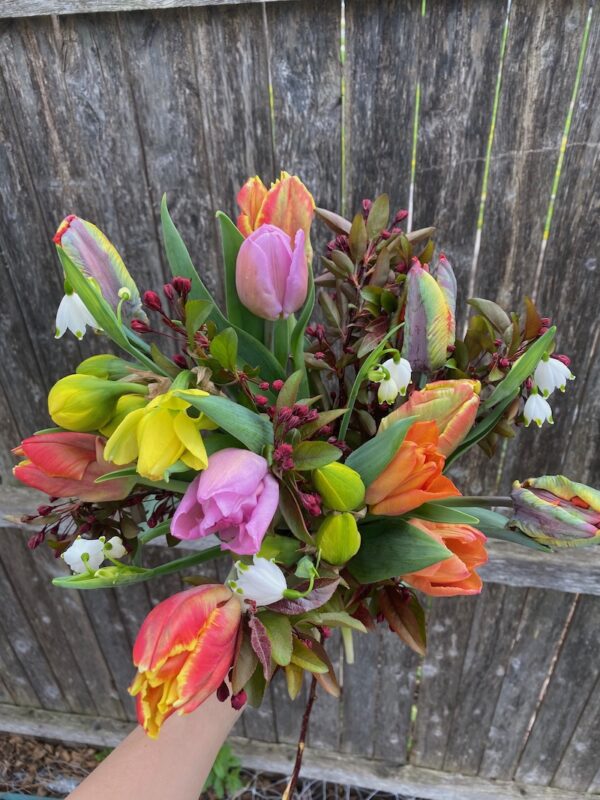 Mother's Day Pre-Orders - Image 2