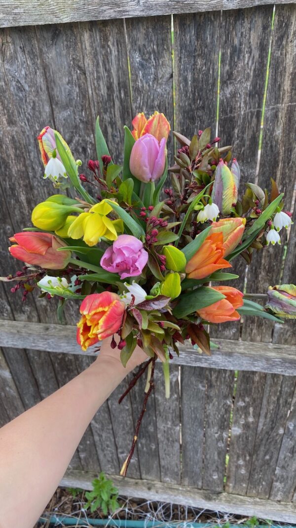 Mother's Day Pre-Orders - Image 3