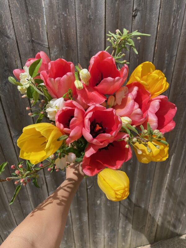 Mother's Day Pre-Orders - Image 4