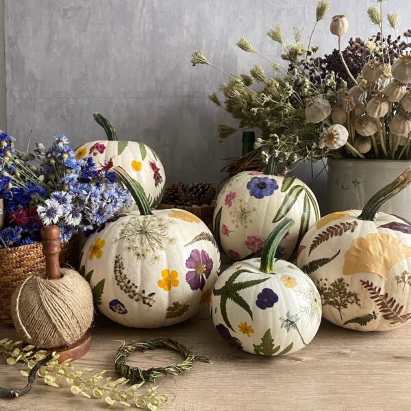 Pressed Flower Pumpkin Class- Saturday October 17th, 10:30 am