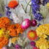 Summer's Glory Tapestry - Image 4