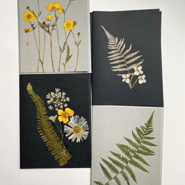 Pressed Flower Card Set