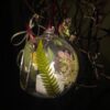 Pressed Flower Glass Bauble - Image 3