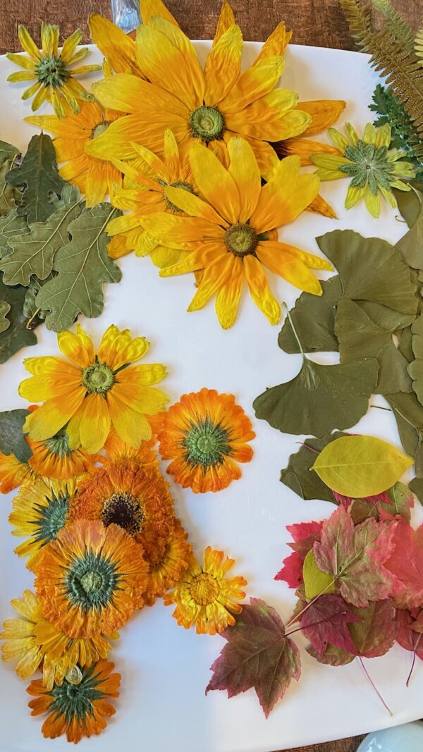 Poetry and Pressed Flowers Class-Thursday, Nov. 14th - 7 p.m. at 5 Loaves Farmhouse - Image 4