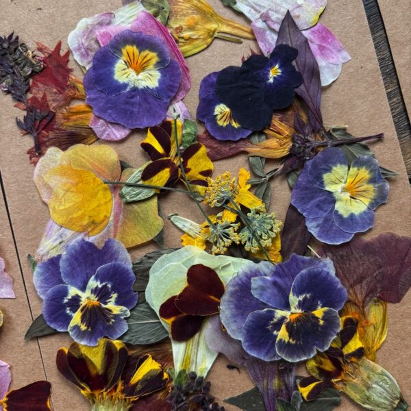 Edible Pressed Flowers