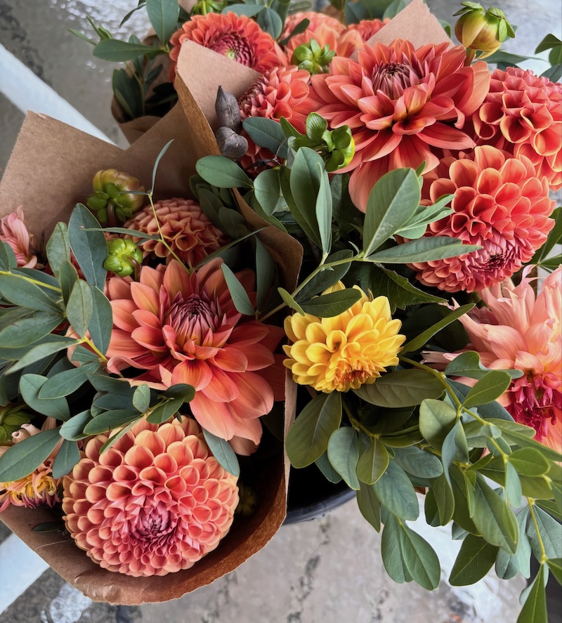 NEW! Dahlia Subscription - Image 9