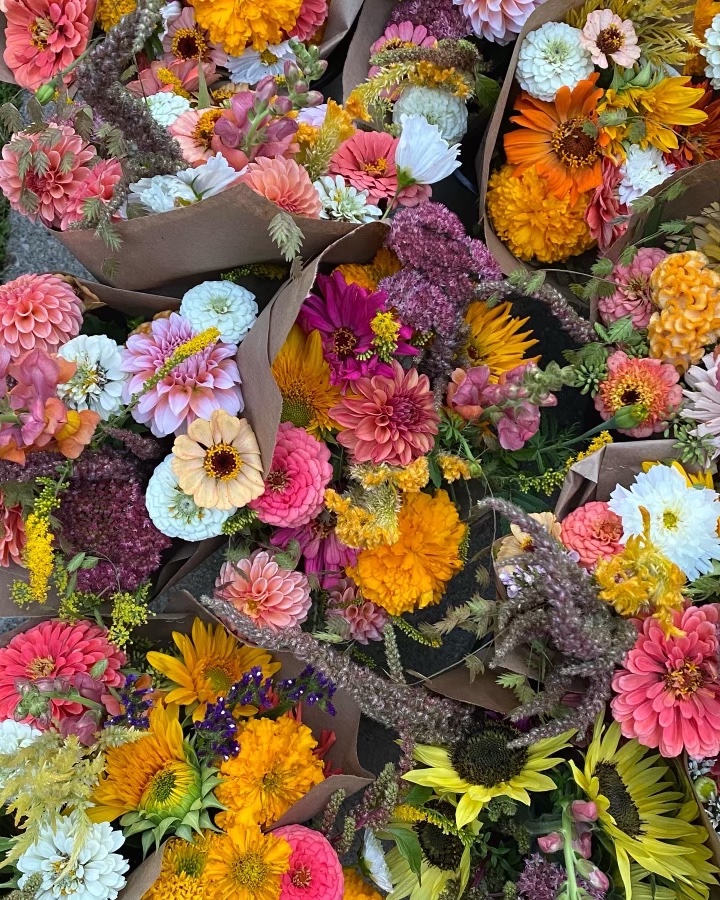 Combo August and September Subscription: Bonus Free Bouquet - Image 7
