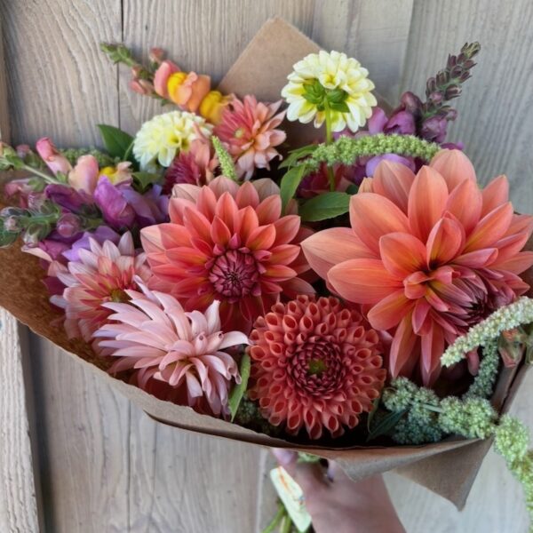 NEW! Dahlia Subscription