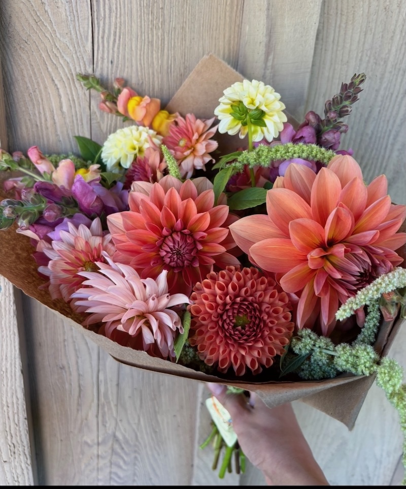 NEW! Dahlia Subscription