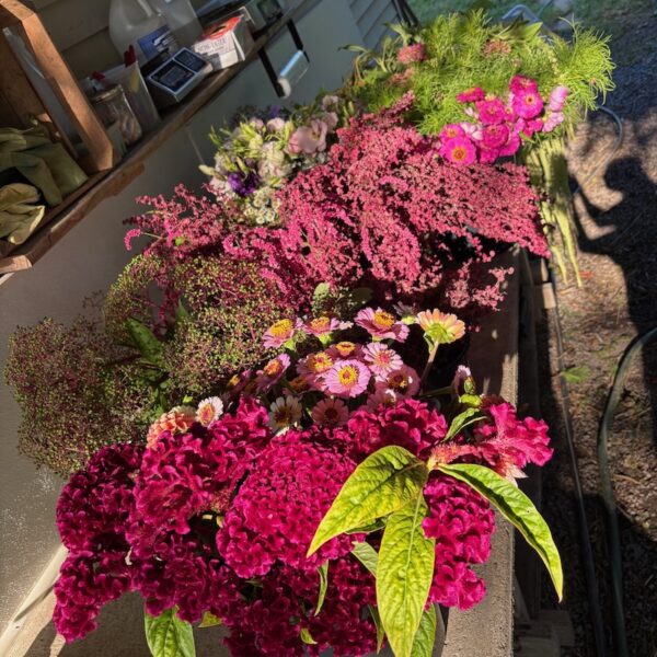 Flowers by the Bucket