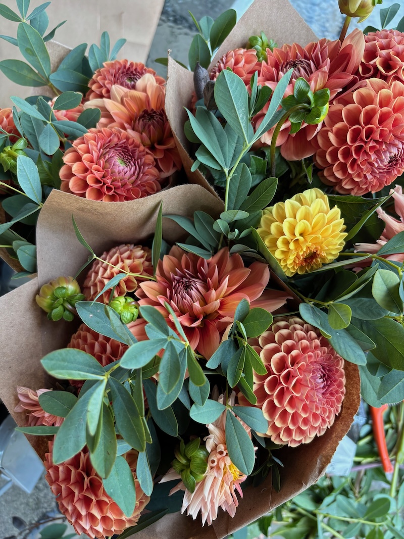 NEW! Dahlia Subscription - Image 10