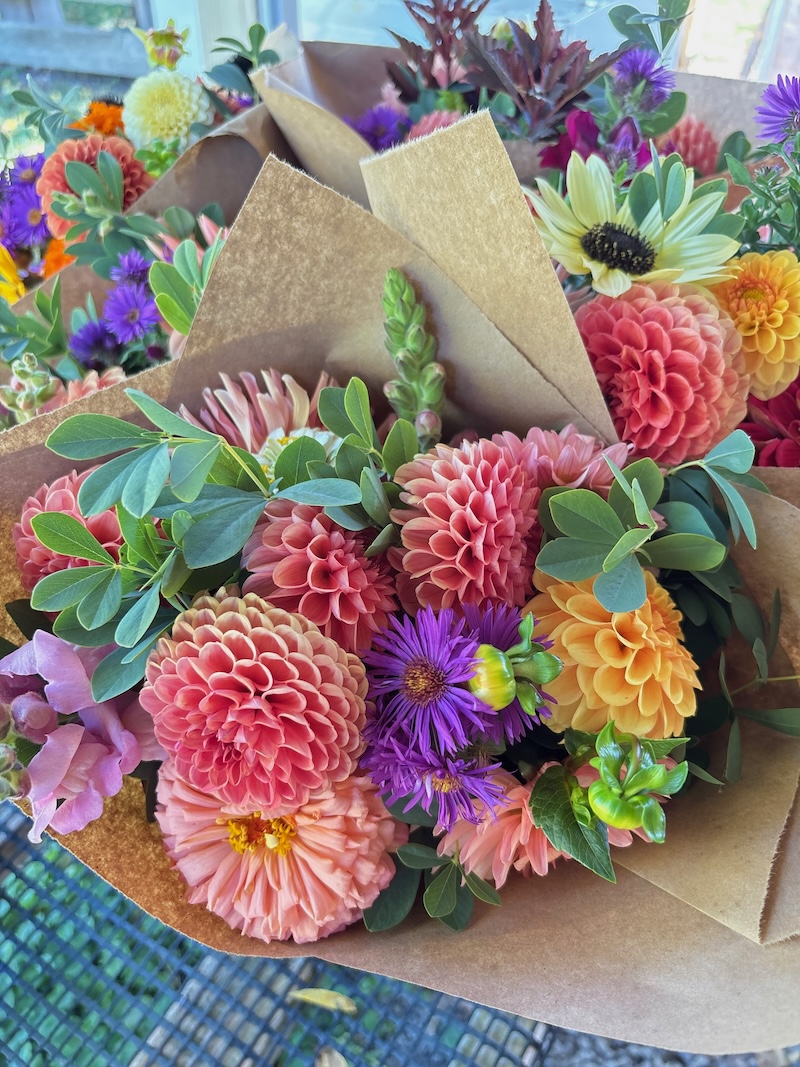 NEW! Dahlia Subscription - Image 5