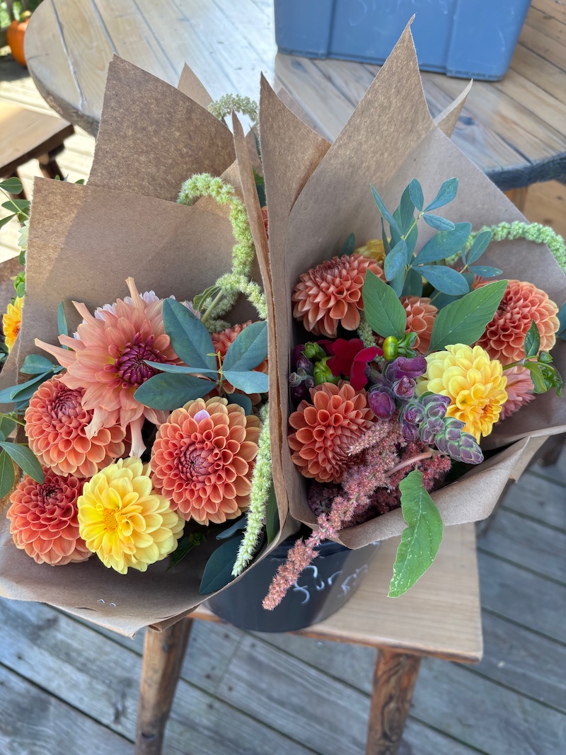 NEW! Dahlia Subscription - Image 4